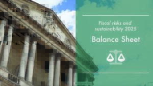 Fiscal risks and sustainability report- Balance sheet video thumbnail