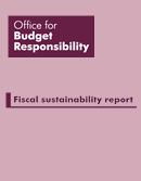 Book cover of Fiscal sustainability report