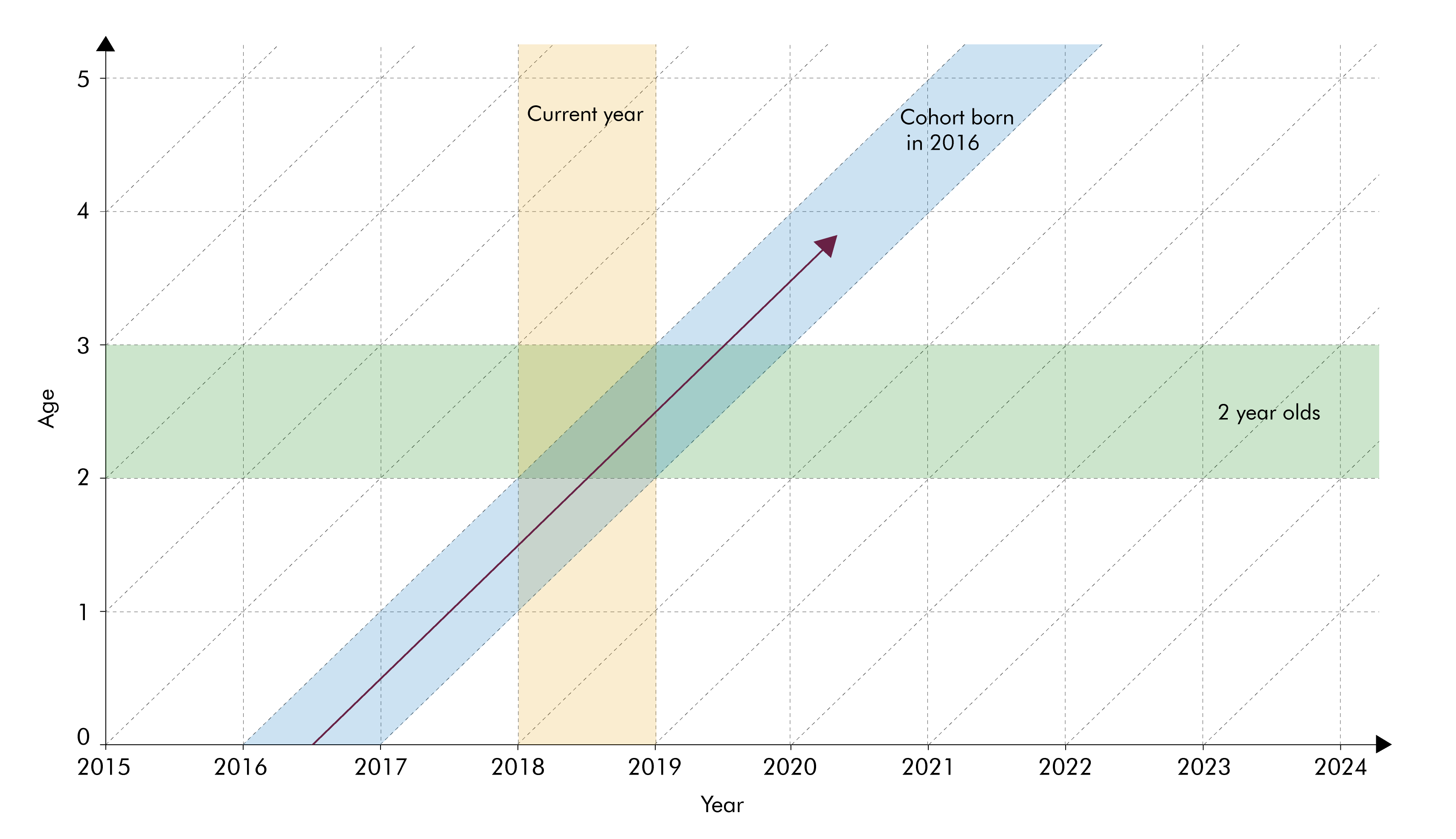 Lexis diagram thicker axes-01