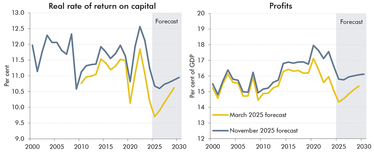 Side-by-side line charts showing real rate of return on capital and profits.